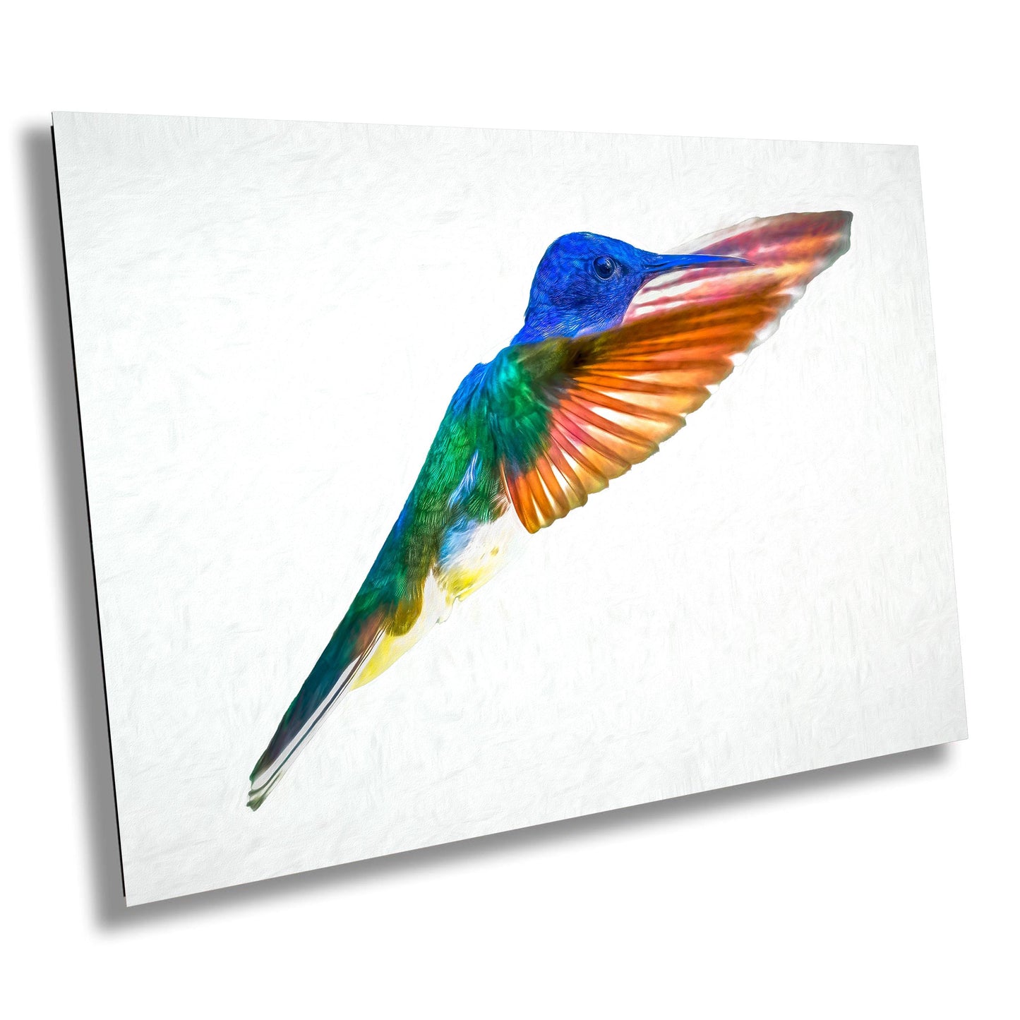 Hummingbird Art, Wildlife Wall Art, Nature Photography, Vibrant Bird Art, High Key Bird Art, Bird Lover Gift, Iridescent Bird Print, Exotic Birds Decor, Colombian Forest Art, Painterly Hummingbird, Hummingbird Fine Art, Unique Bird Photography