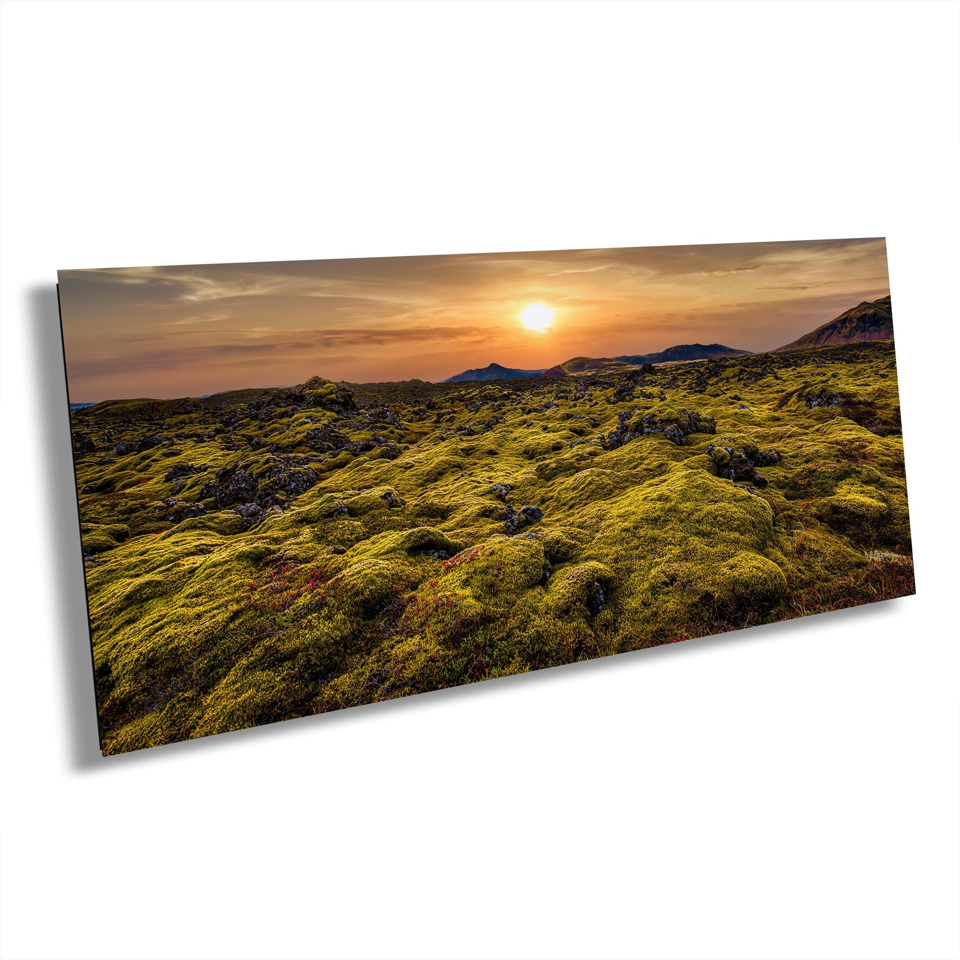 Iceland moss photo, volcanic moss art, lava field print, Iceland landscape, golden hour moss, lava rock photo, nature wall art, Iceland travel art, soft green moss, sunset landscape, unique nature photo, Nordic decor print, mossy terrain photo