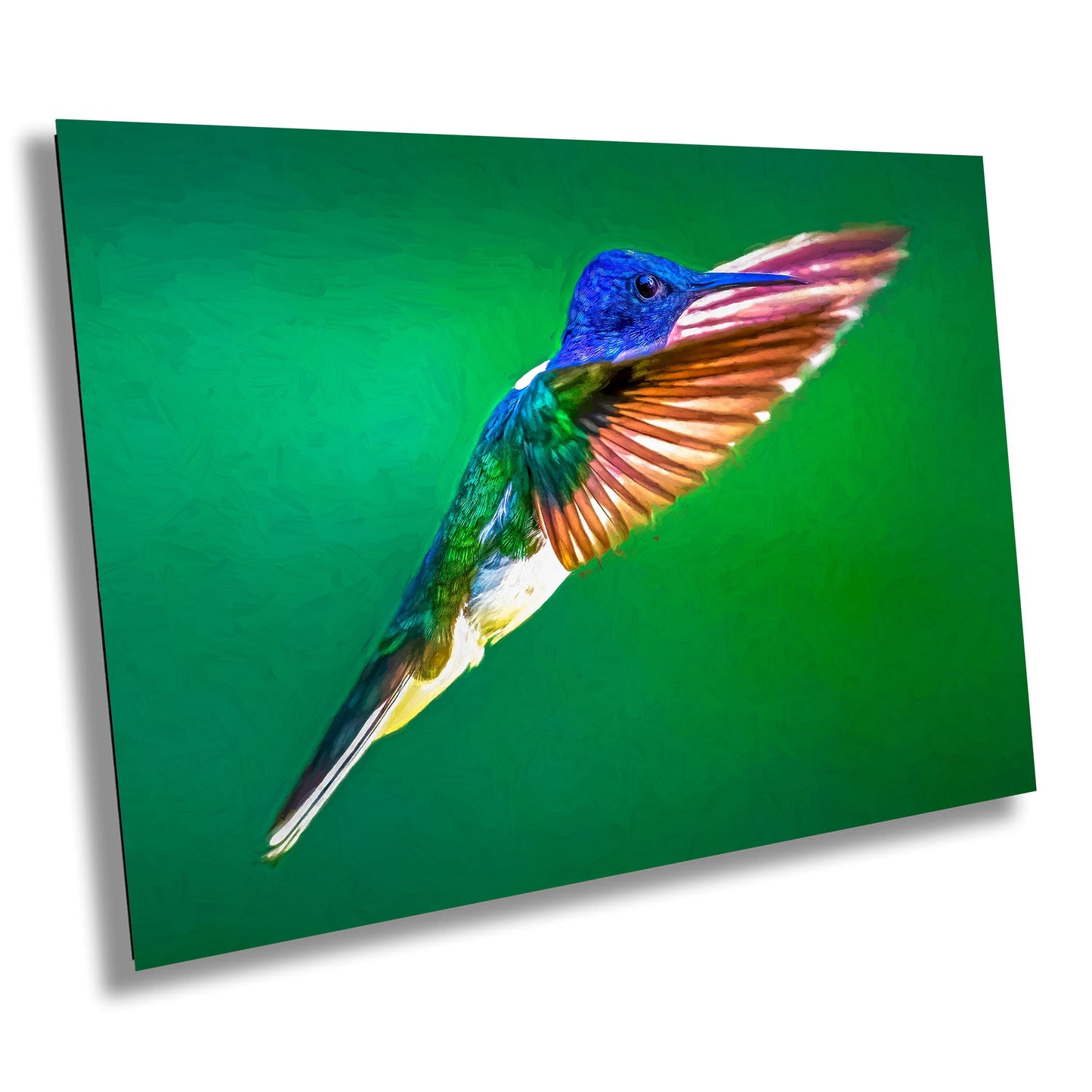 Hummingbird art, wildlife wall art, nature photography, exotic bird print, colorful bird art, bird lover gift, fine art print, tropical bird decor, hummingbird photo, bird photography, forest photography, wildlife decor, nature-inspired art