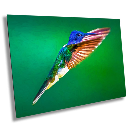 Hummingbird art, wildlife wall art, nature photography, exotic bird print, colorful bird art, bird lover gift, fine art print, tropical bird decor, hummingbird photo, bird photography, forest photography, wildlife decor, nature-inspired art