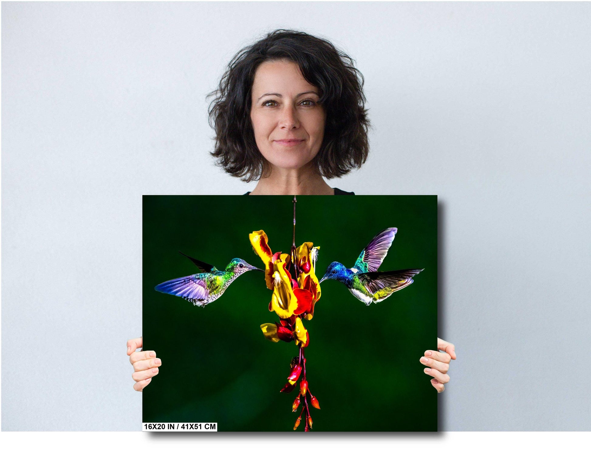 Hummingbird photo, exotic bird art, vibrant nature print, tropical wildlife art, bird wall decor, rare bird photography, painterly bird print, hi-key art style, bird feeding photo, hummingbird artwork, tropical art print, wildlife photography