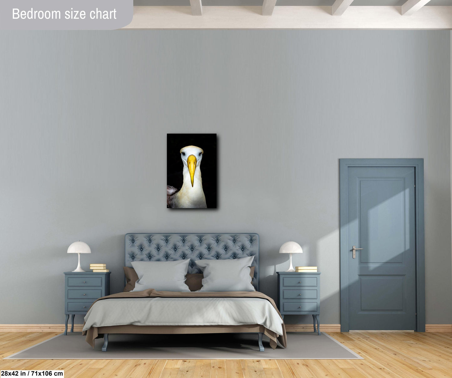 albatross photo, wildlife photography print, nature wall art, bird art decor, fine art wildlife, albatross portrait, bird lovers gift, nature photography print, galapagos wildlife, travel photography, large bird print, nature art, coastal wall decor