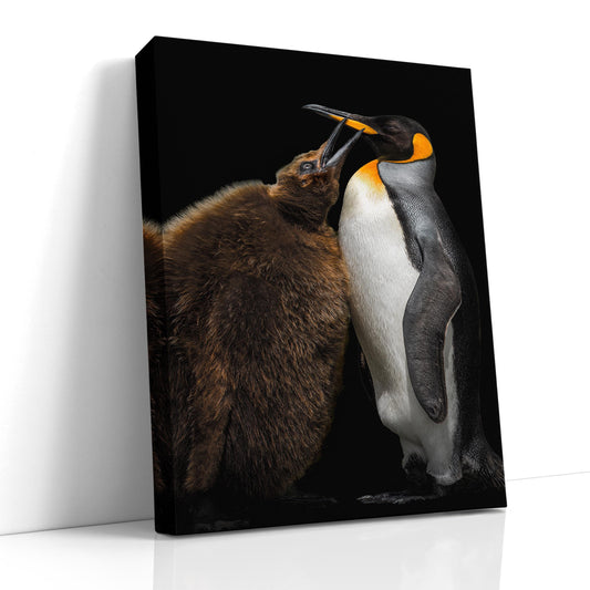 penguin mother and chick, king penguin wildlife print, adorable penguin photography, antarctic nature art, wildlife fine art print, penguin mom love, penguin family portrait, Falkland Islands penguins, black and white bird photo, penguin beak touch, wildlife home decor, ocean animal photography, heartwarming animal print