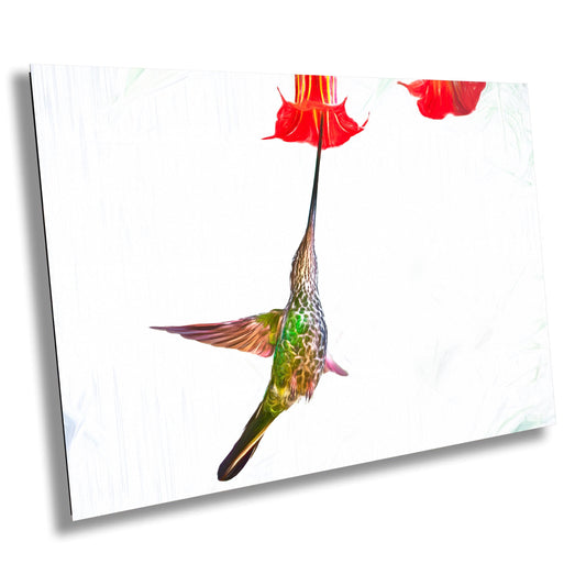 hummingbird art, tropical bird photo, bird art print, Colombian wildlife, exotic bird wall art, trumpet flower art, nature photography, wildlife decor, Sword-billed Hummingbird, bird lover gift, bird art, hummingbird decor, nature-inspired wall art