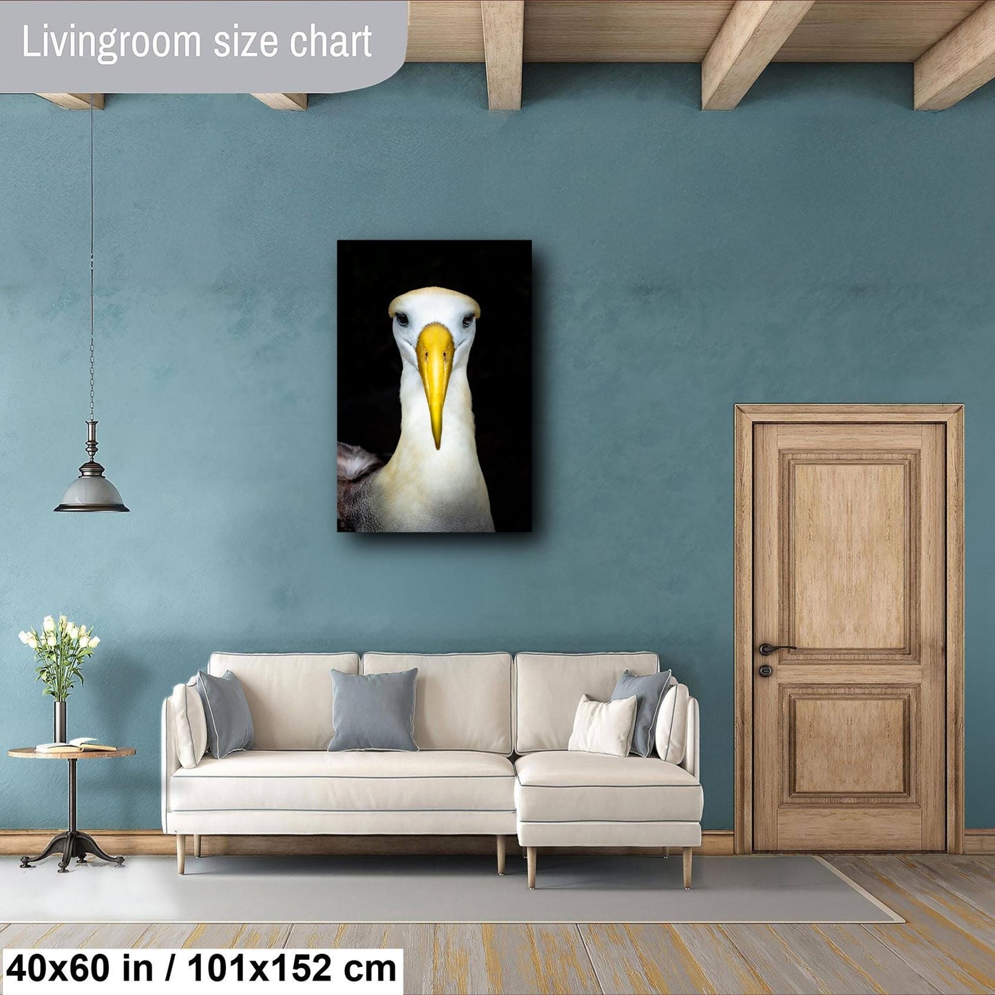 albatross photo, wildlife photography print, nature wall art, bird art decor, fine art wildlife, albatross portrait, bird lovers gift, nature photography print, galapagos wildlife, travel photography, large bird print, nature art, coastal wall decor