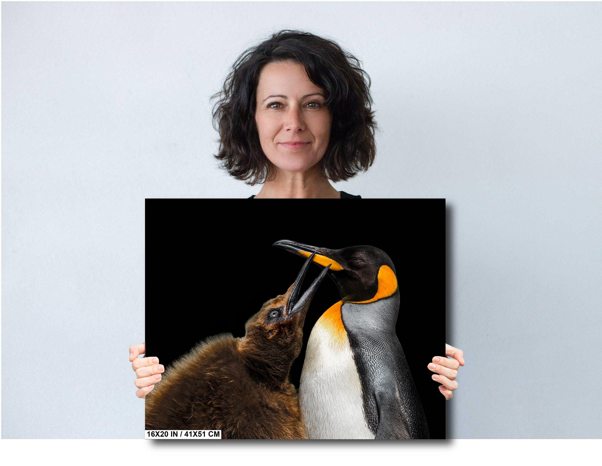 penguin photography, king penguin photo, wildlife art print, penguin mother chick, antarctica fine art, falkland island print, wildlife wall decor, penguin beak touch, ocean wildlife print, black and white bird, wildlife mother love, penguin transformation, bird lover art