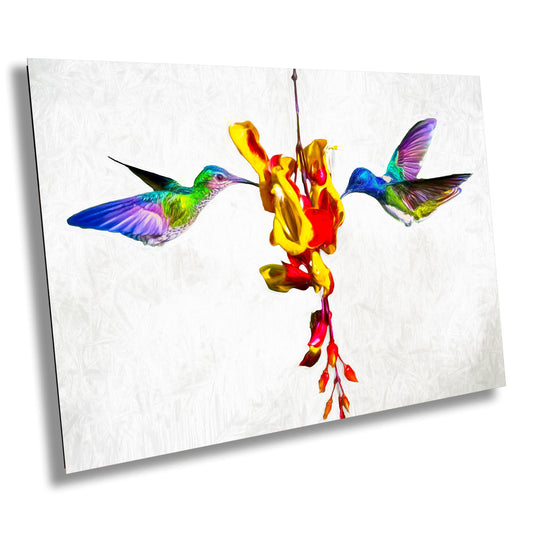 hummingbird photography, tropical bird art, wildlife fine art, Colombian hummingbirds, nature-inspired decor, vibrant bird photo, hummingbird painting style, bird wall art, rare bird photo, hi-key photography, oil style bird art, tropical decor print