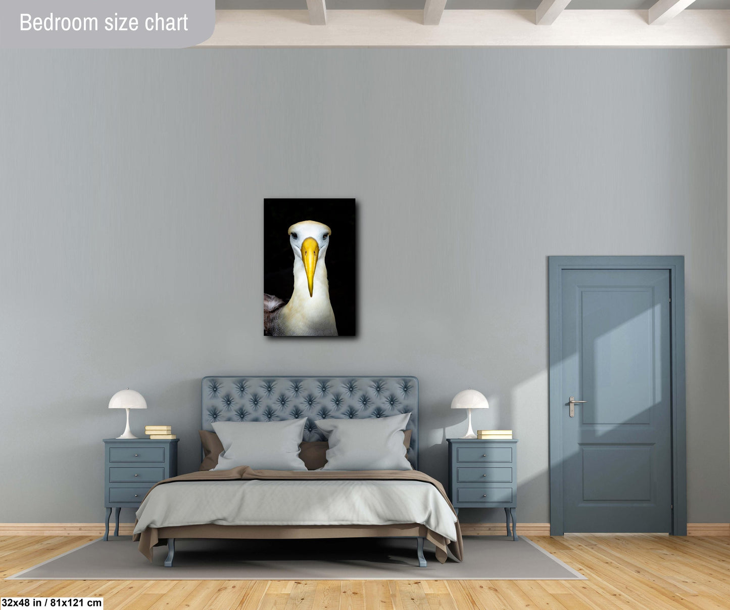 albatross photo, wildlife photography print, nature wall art, bird art decor, fine art wildlife, albatross portrait, bird lovers gift, nature photography print, galapagos wildlife, travel photography, large bird print, nature art, coastal wall decor