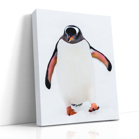 Gentoo Penguin Portrait, White Snow, Wildlife Photography, Antarctic Nature Art, Bird Wall Print, Travel Photography, Fine Art Prints