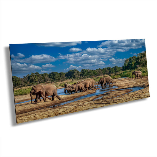 wild elephant print, African safari photo, elephant herd wall art, wildlife fine art, elephant lovers gift, safari photography, African nature print, elephant wall decor, safari animal art, large wildlife print, nature photography print, majestic elephants, wild animal art