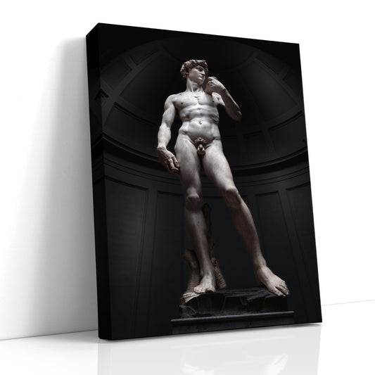 Michelangelo David photo, Florence art photography, David statue print, Renaissance sculpture art, famous statue photography, Accademia Gallery photo, marble statue, Italian art print, art museum photography, white marble statue art, fine art decor