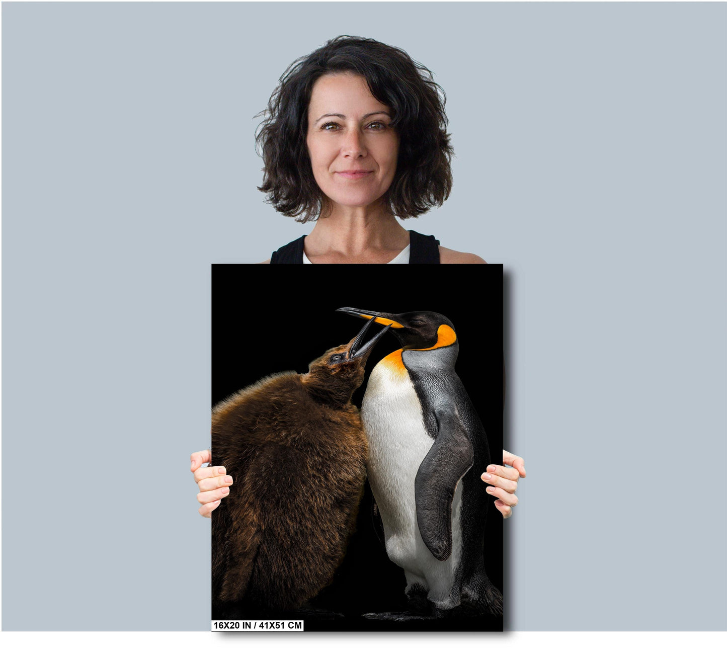 penguin mother and chick, king penguin wildlife print, adorable penguin photography, antarctic nature art, wildlife fine art print, penguin mom love, penguin family portrait, Falkland Islands penguins, black and white bird photo, penguin beak touch, wildlife home decor, ocean animal photography, heartwarming animal print