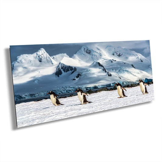 antarctica penguin photo, antarctic landscape art, glacier photography print, penguins wall art, wildlife photography decor, antarctica travel print, icy mountain landscape, snowy wildlife art, beatles inspired photo, antarctica expedition art, penguins walking print, frozen nature print, majestic ice scenery