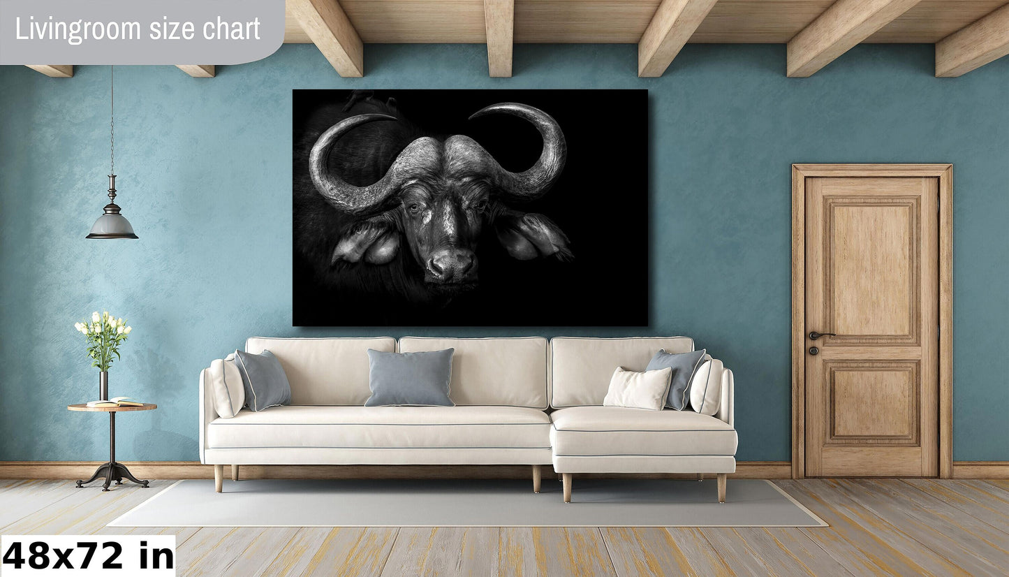 African Buffalo Canvas Print, Travel Print, Black and White, Safari Print, Wall Art, Big Five, Nature, Wild Animals, South Africa