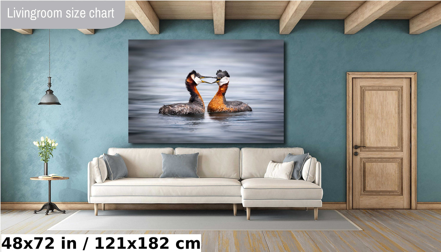 bird photography, wildlife photography, nature photography, grebe photo, mating birds, love birds, heart shape birds, Humber Bay, bird lovers, bird art print, Toronto wildlife, nature lovers, avian beauty