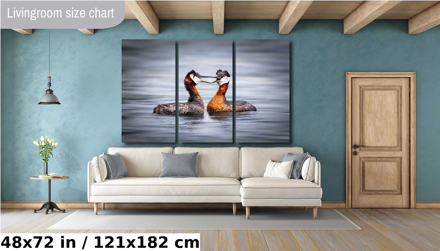bird photography, wildlife photography, nature photography, grebe photo, mating birds, love birds, heart shape birds, Humber Bay, bird lovers, bird art print, Toronto wildlife, nature lovers, avian beauty
