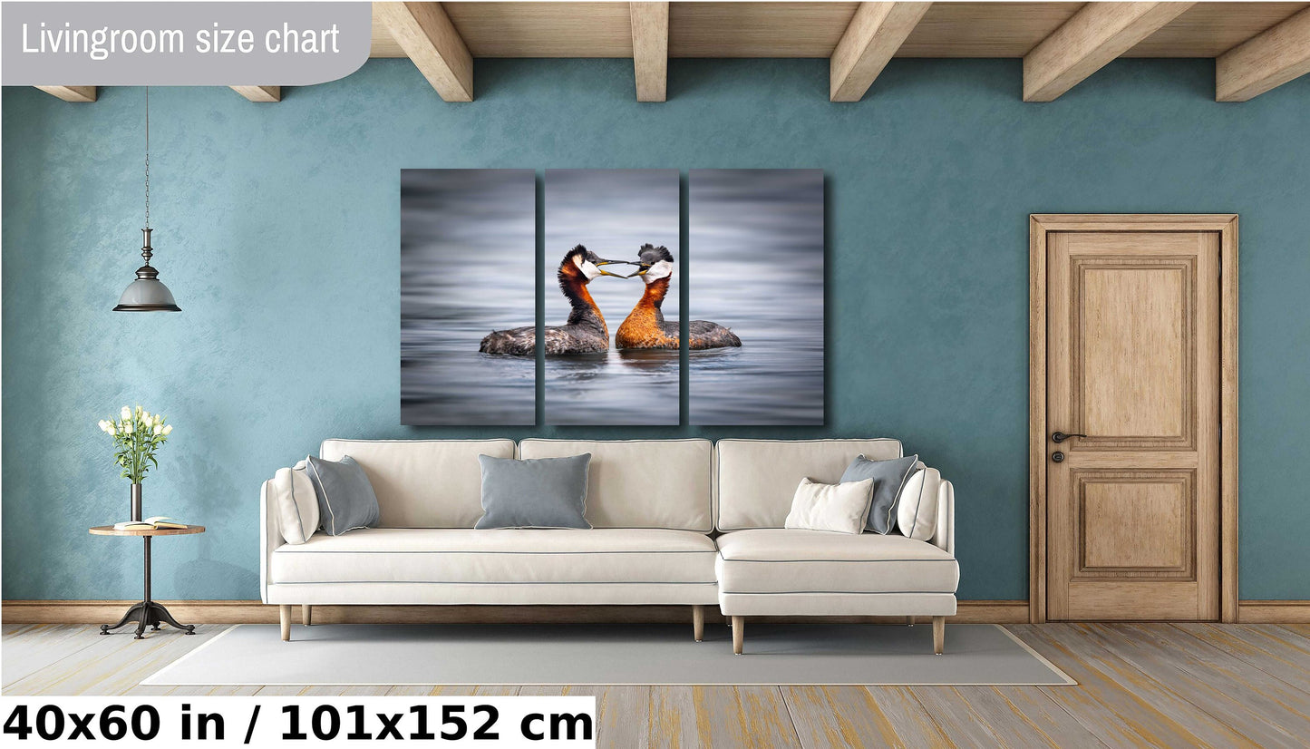 bird photography, wildlife photography, nature photography, grebe photo, mating birds, love birds, heart shape birds, Humber Bay, bird lovers, bird art print, Toronto wildlife, nature lovers, avian beauty
