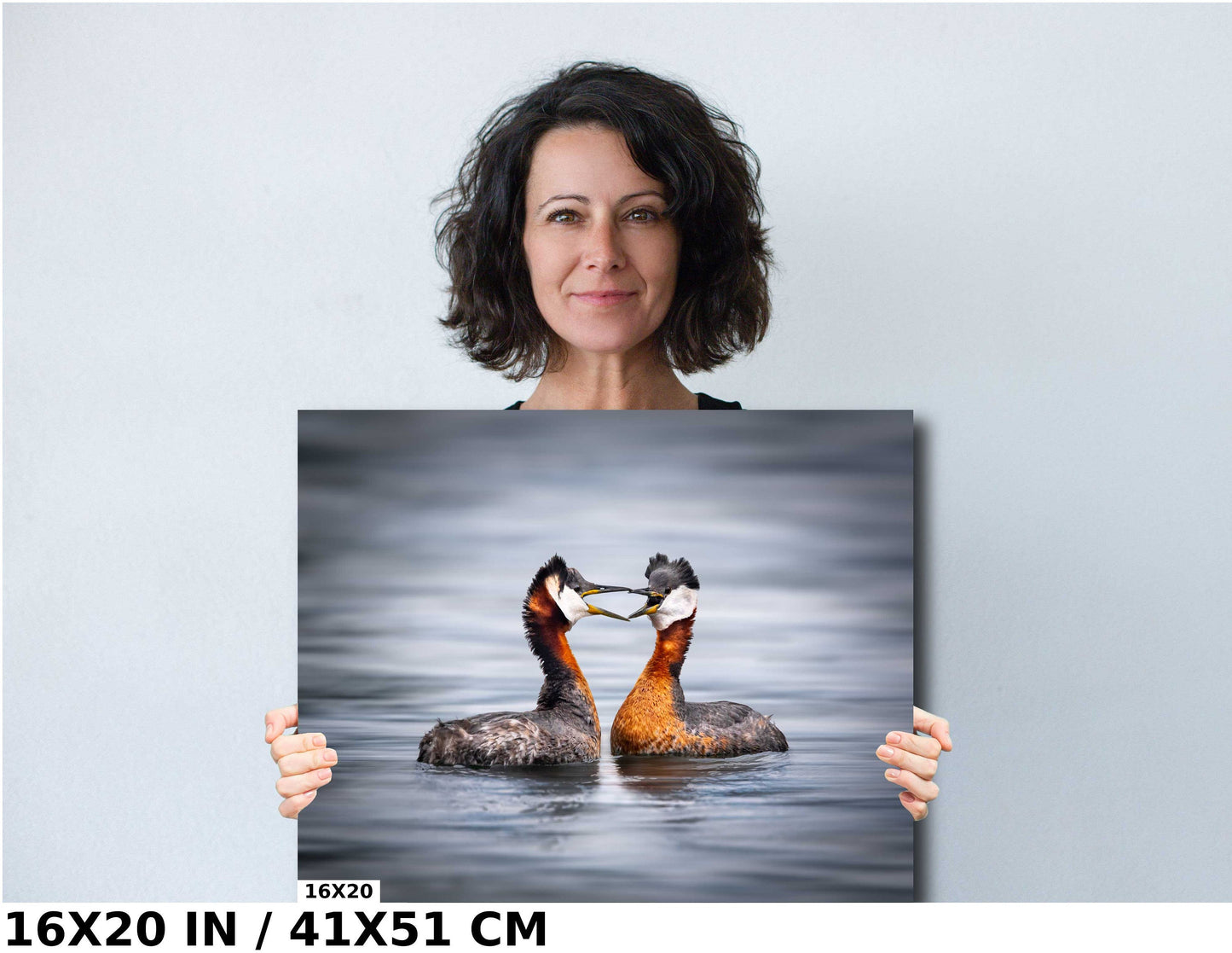 bird photography, wildlife photography, nature photography, grebe photo, mating birds, love birds, heart shape birds, Humber Bay, bird lovers, bird art print, Toronto wildlife, nature lovers, avian beauty