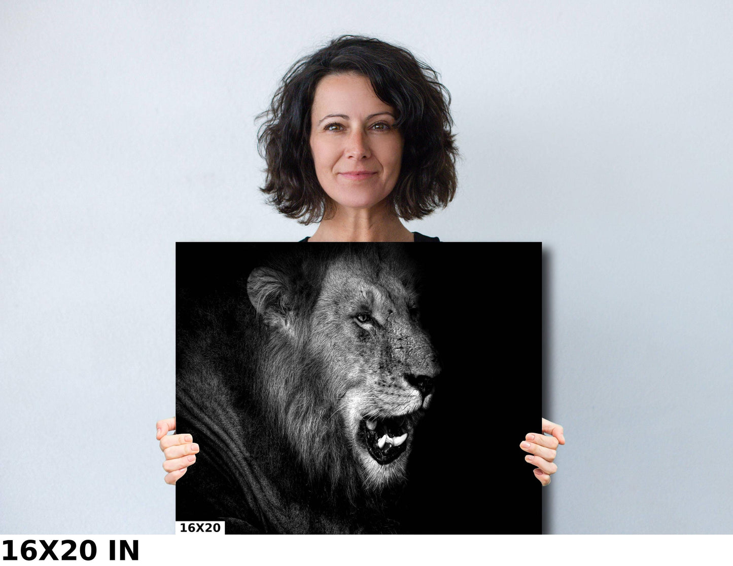 African Lion Canvas Print, Travel Print, Black and White, Safari Print, Wall Art, Big Five, Nature, Wild Animals, South Africa