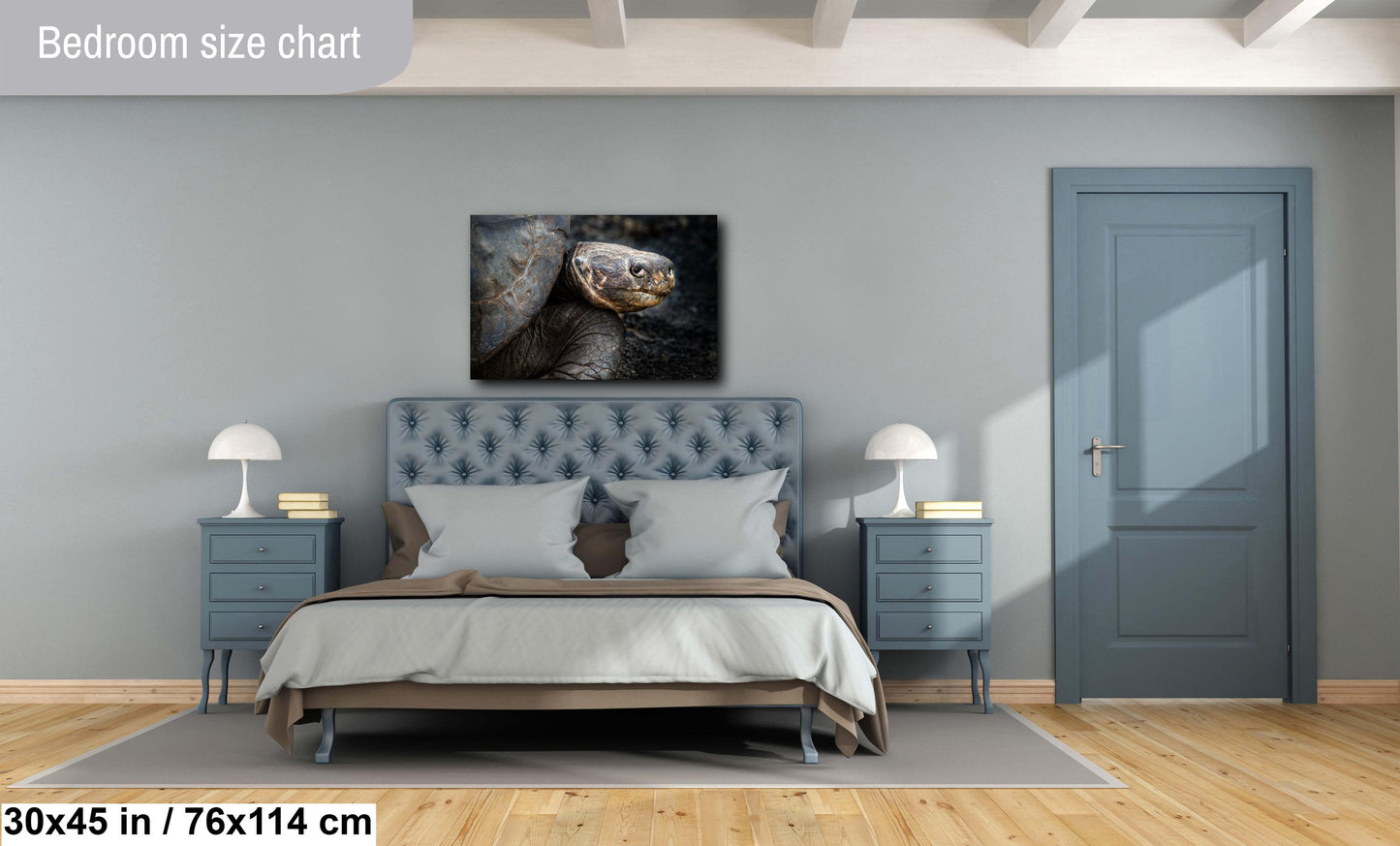 Galapagos Tortoise Canvas Print, Galapagos Islands, Giant Tortoise Photography, Canvas Print, Canvas Wall Art, Galapagos Photography