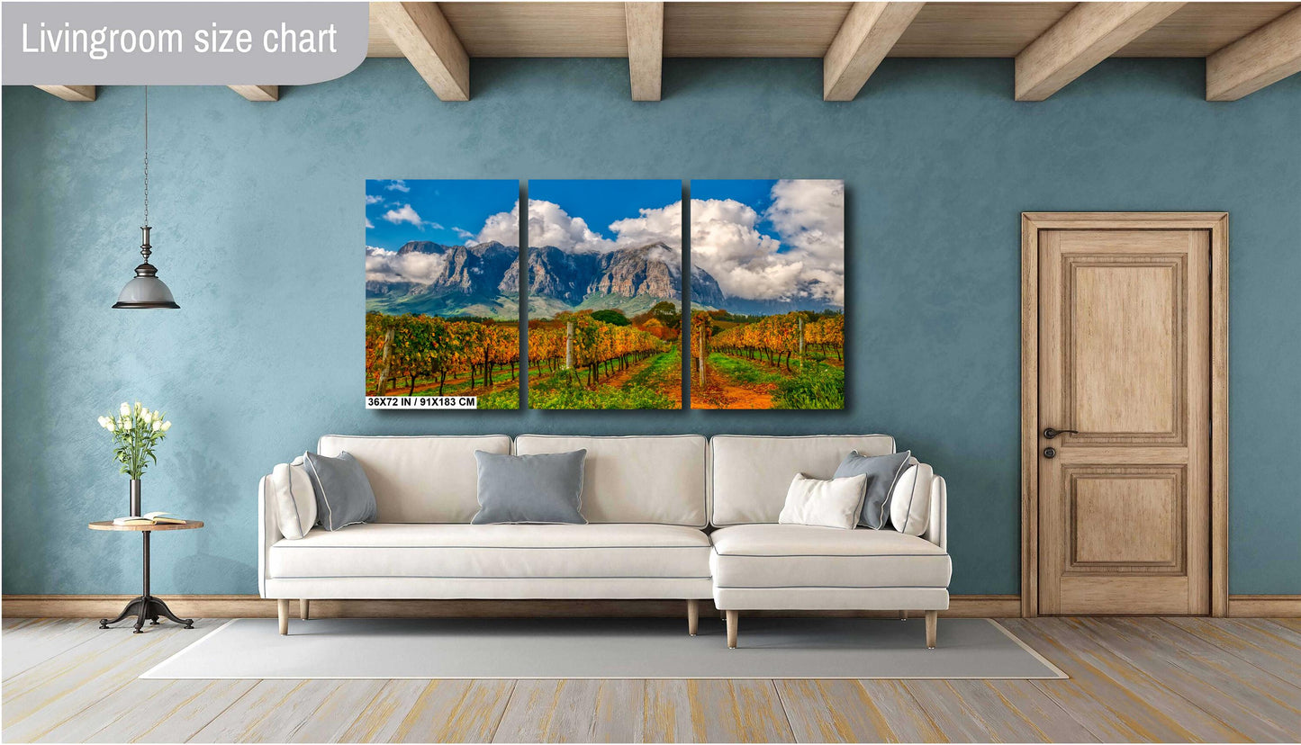 Vineyard Photography on Canvas, Landscape Photography, Canvas Wall Art, South Africa Photography, South Africa, Winery Photography
