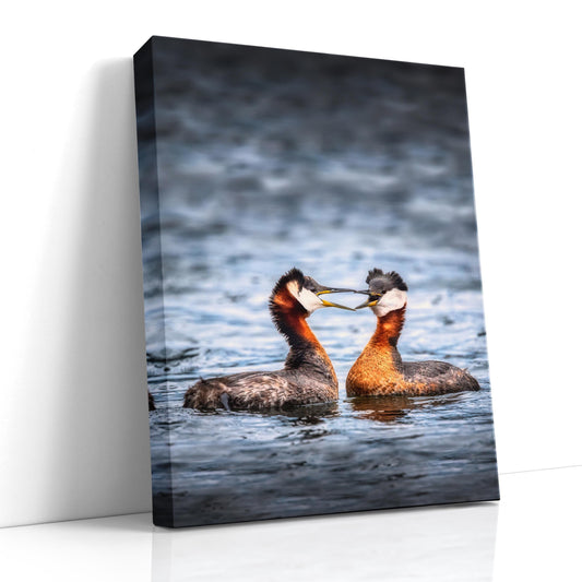 wildlife photography print, red-throated grebes art, Toronto bird print, Humber Bay Shores photo, bird couple artwork, romantic bird print, nature lovers gift, birdwatching decor, seasonal wildlife photography, spring love art, Canadian wildlife print, love in nature, bird art for home