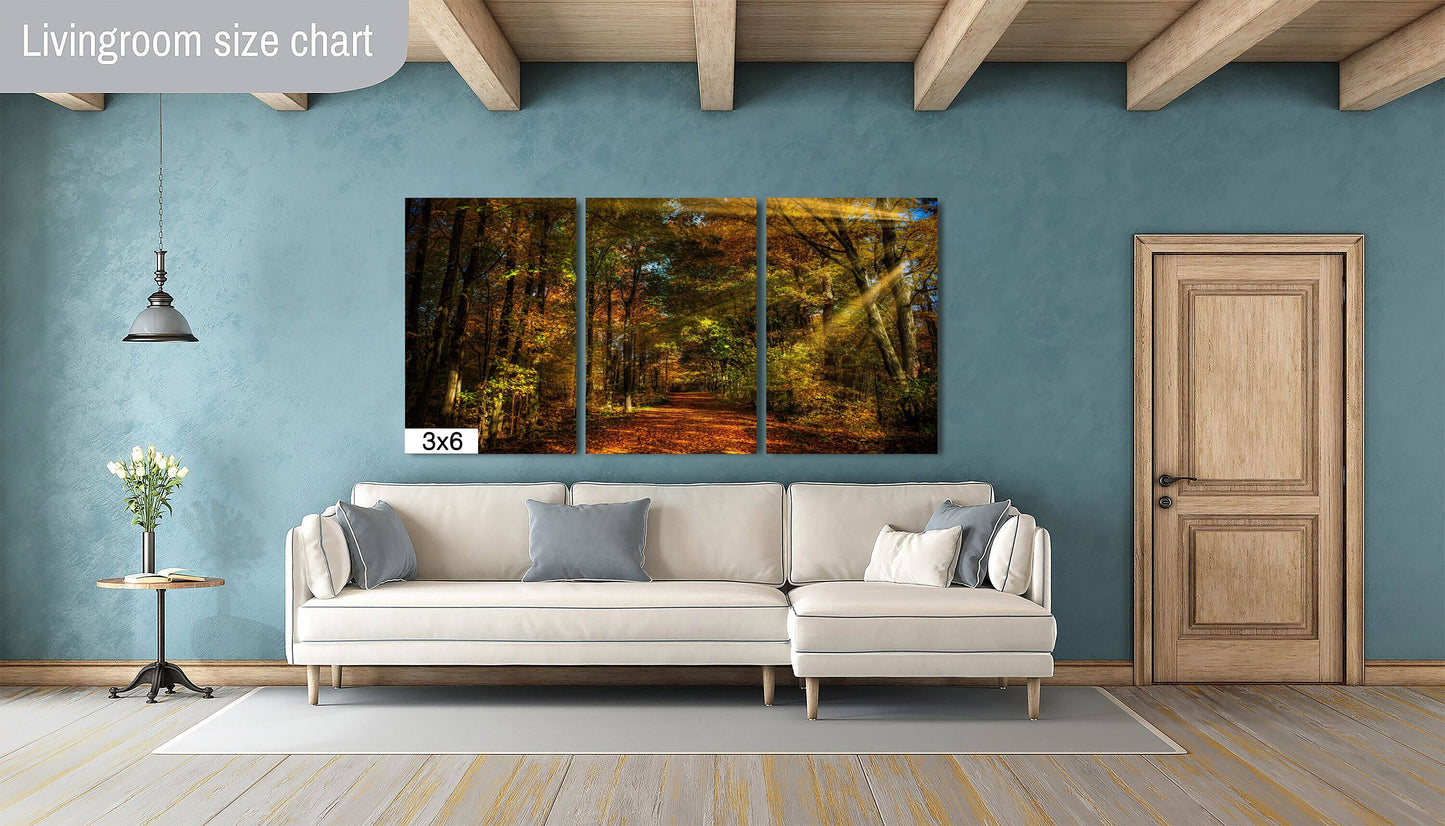 Autumn Colors Canvas Print, Landscape Image, Morning Light, Photo Art, Canvas Wall Art, Sun Beams and Autumn Leaves