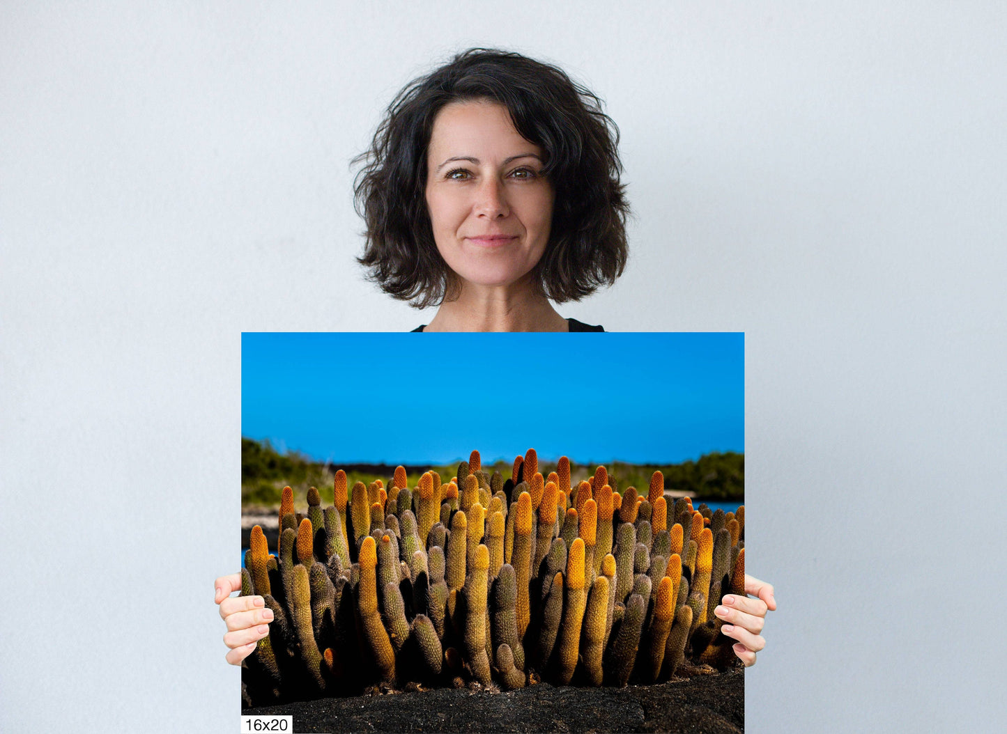 Galapagos Cacti Canvas Print, Galapagos Islands, Nature Photography, Canvas Print, Canvas Wall Art, Galapagos Photography