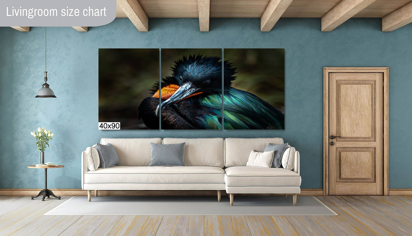 Galapagos Bird Canvas Print, Galapagos Islands, Frigate Bird Photography, Canvas Print, Canvas Wall Art, Galapagos Photography