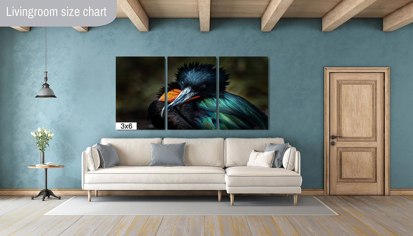 Galapagos Bird Canvas Print, Galapagos Islands, Frigate Bird Photography, Canvas Print, Canvas Wall Art, Galapagos Photography