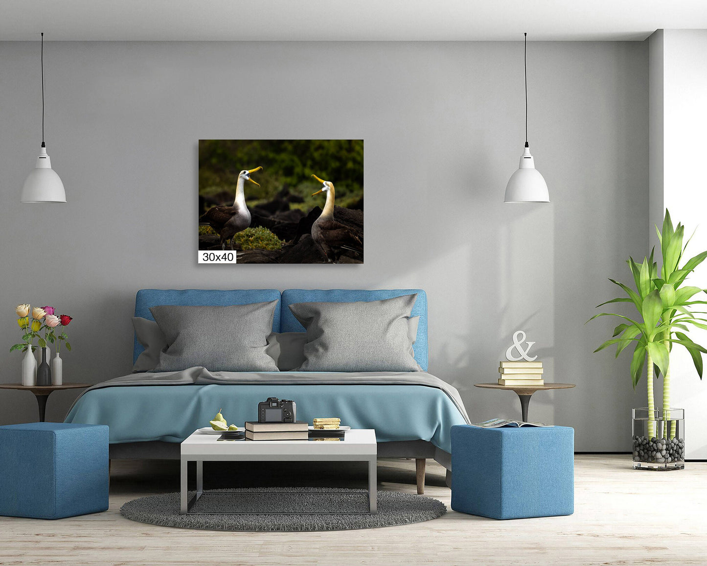 Galapagos Albatross Canvas Print, Two Albatross, Galapagos Islands, Canvas Print, Canvas Wall Art, Galapagos Photography