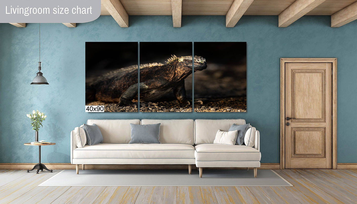 Galapagos Iguana Canvas Print, Galapagos Islands, Iguana Photography, Canvas Print, Canvas Wall Art, Galapagos Photography