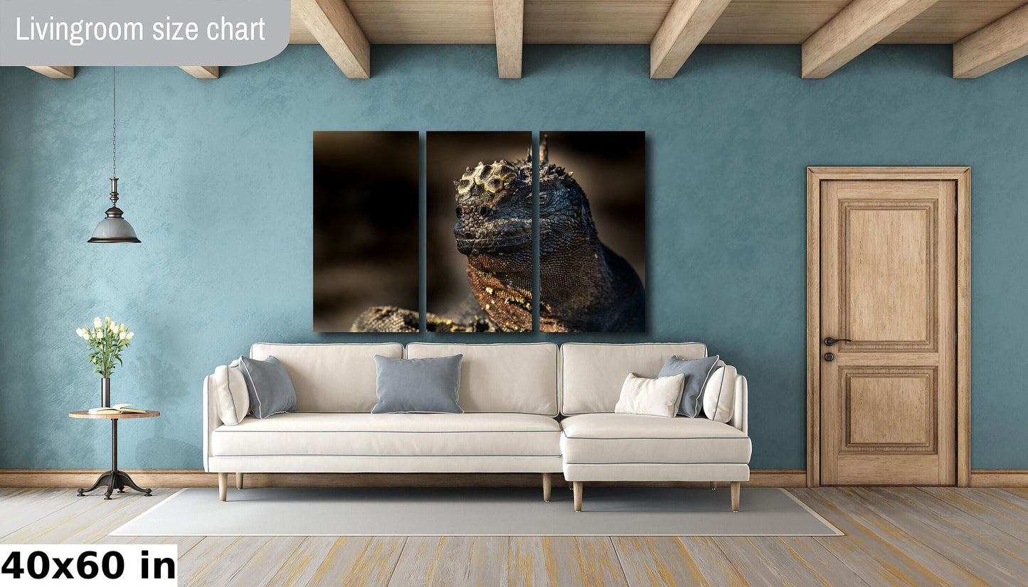 Marine Iguana Canvas Print, Galapagos Islands, Iguana Photography, Canvas Print, Canvas Wall Art, Galapagos Photography, Lizard, Creature