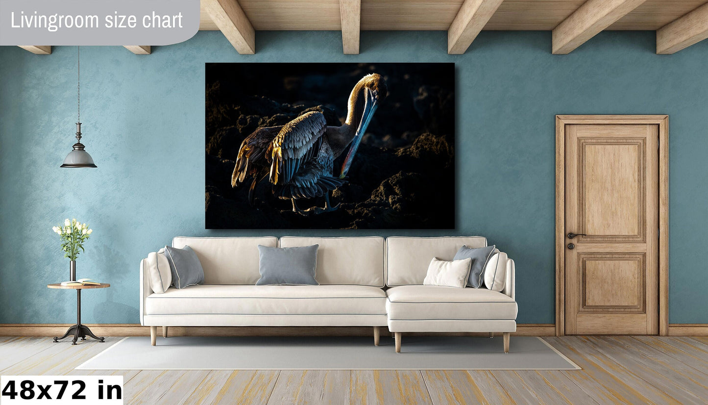 Galapagos Brown Pelican Canvas Print, Galapagos Islands, Bird Photography, Canvas Print, Canvas Wall Art, Galapagos Photo, Nature, Travel