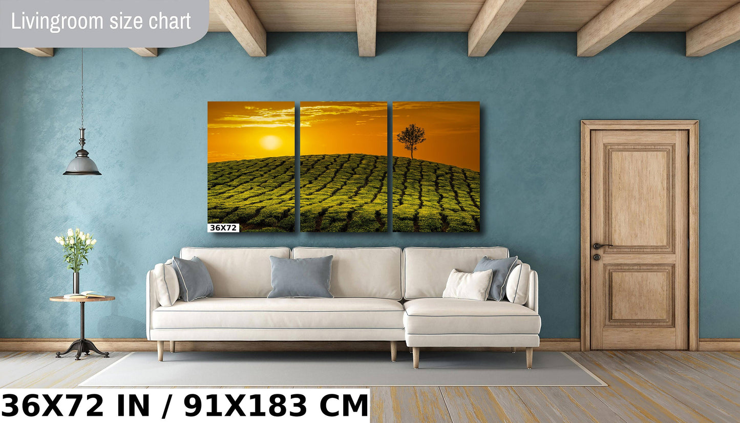 Tea Fields Canvas Art at sunset, India tea plantation, Green Fields, Golden Sunset, Fine Art Print, Gift, Travel Photography, India Souvenir