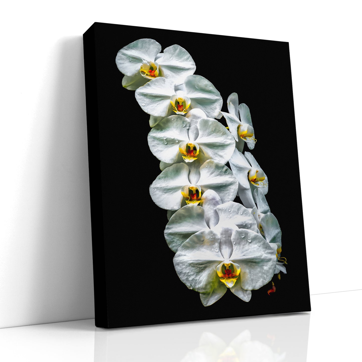 White Orchid Print, Orchid Wall Art, White Flower Wall Art, Floral Art Print, Orchid Decor, White Floral, Large Canvas Print