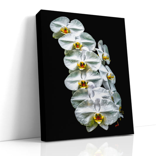 White Orchid Print, Orchid Wall Art, White Flower Wall Art, Floral Art Print, Orchid Decor, White Floral, Large Canvas Print