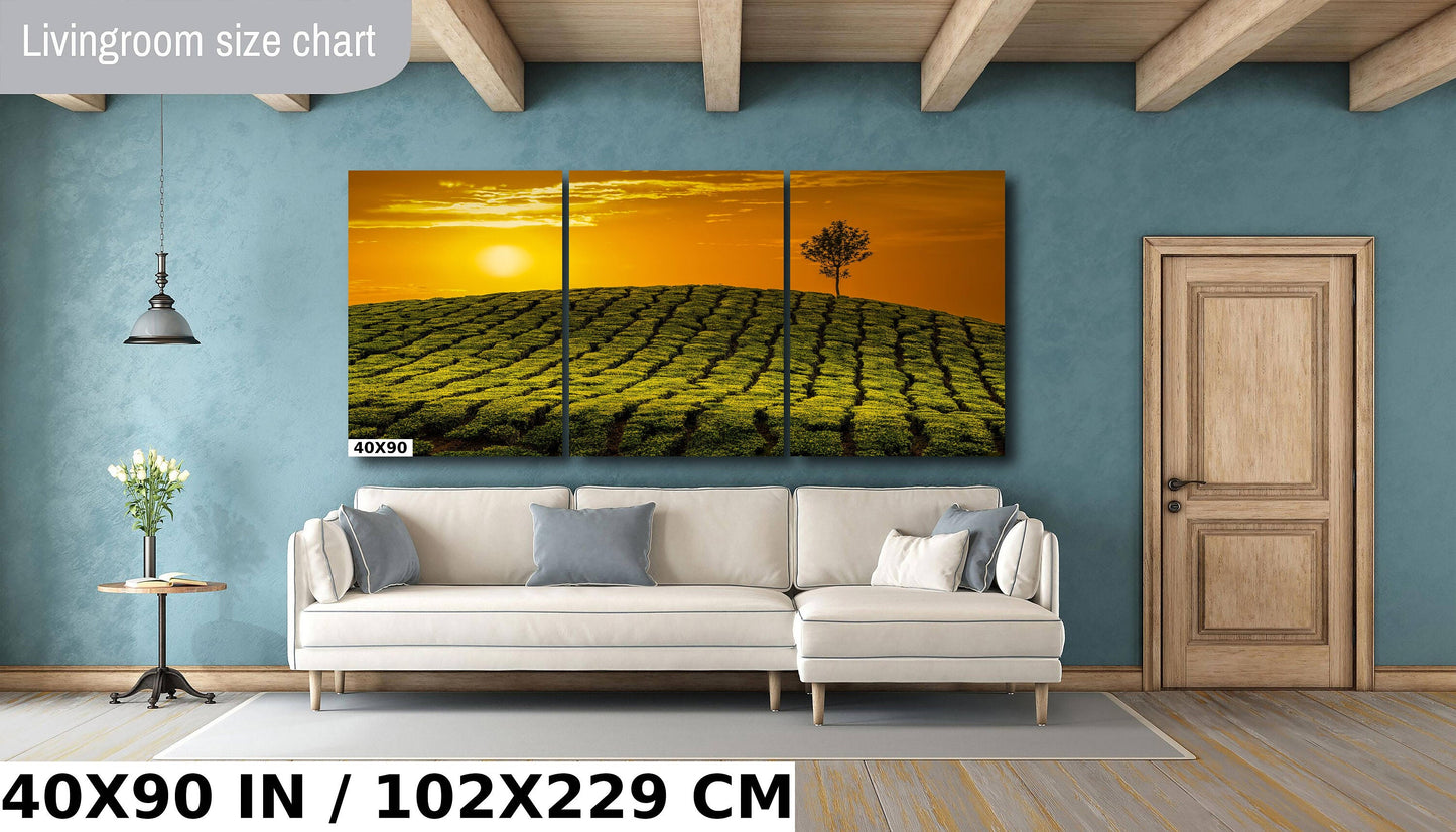 Tea Fields Canvas Art at sunset, India tea plantation, Green Fields, Golden Sunset, Fine Art Print, Gift, Travel Photography, India Souvenir