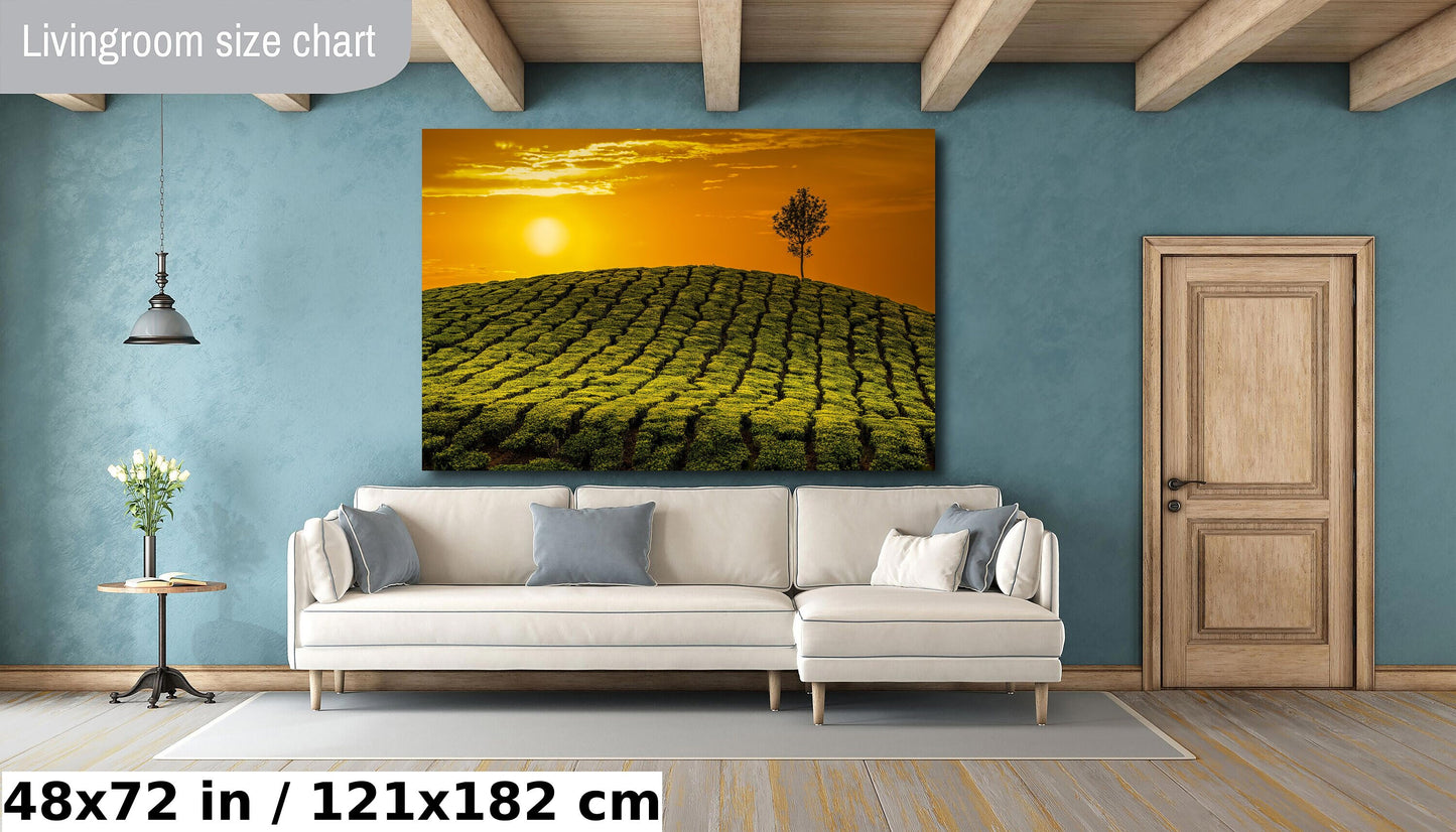 Tea Fields Canvas Art at sunset, India tea plantation, Green Fields, Golden Sunset, Fine Art Print, Gift, Travel Photography, India Souvenir