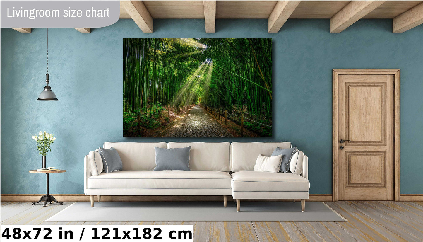 Coimbra photo, Bamboo Forest, nature photography, peaceful decor, yoga studio art, meditation room, green bamboo, travel photography, Portugal art, botanical garden, serene landscape, tranquil photo, calming art