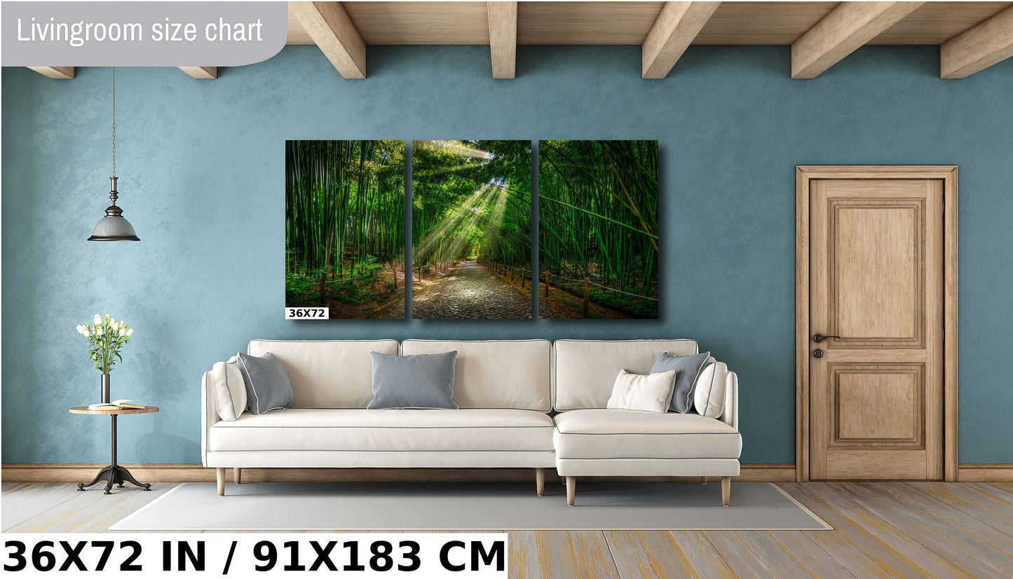 Coimbra photo, Bamboo Forest, nature photography, peaceful decor, yoga studio art, meditation room, green bamboo, travel photography, Portugal art, botanical garden, serene landscape, tranquil photo, calming art