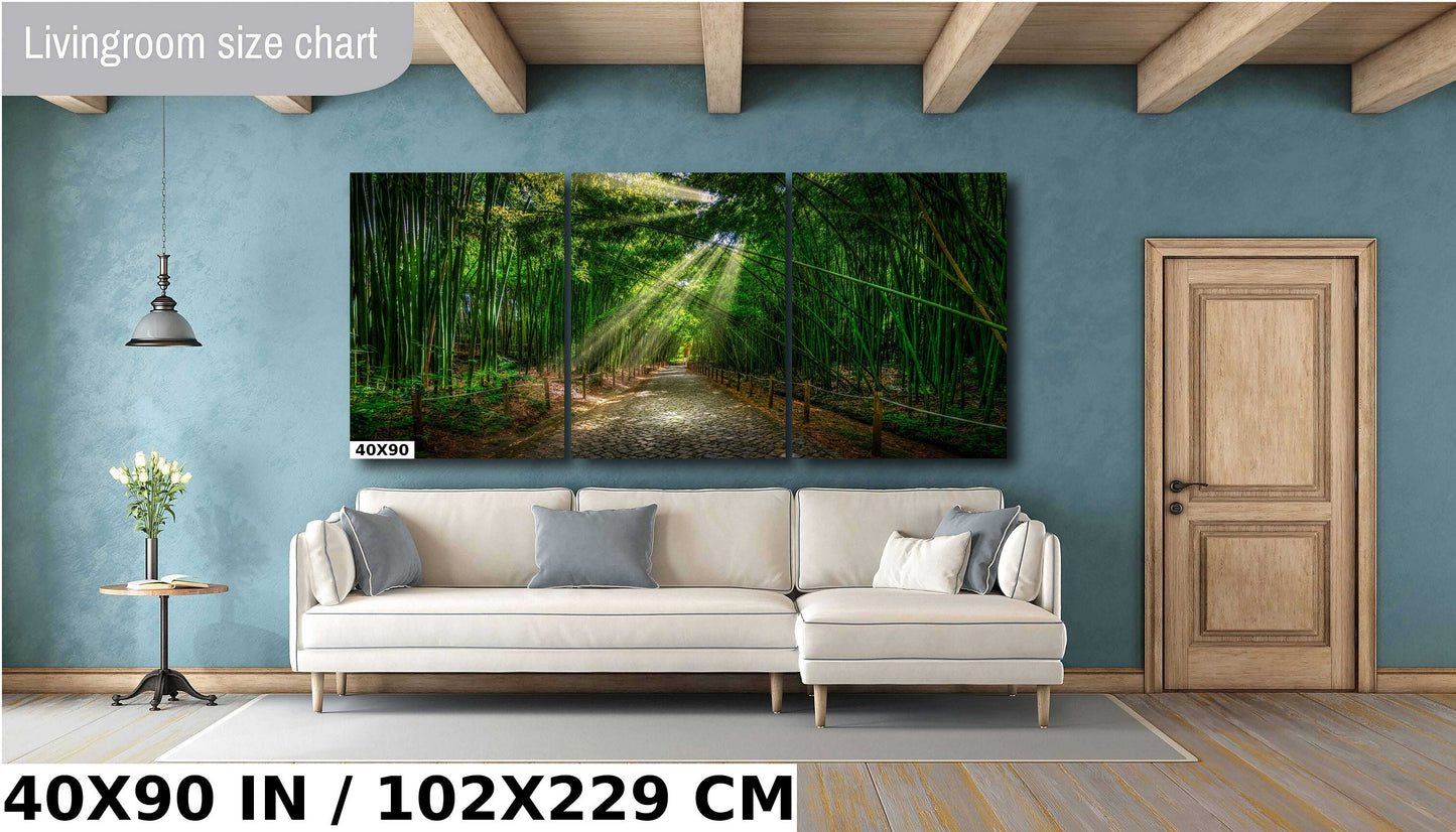 Coimbra photo, Bamboo Forest, nature photography, peaceful decor, yoga studio art, meditation room, green bamboo, travel photography, Portugal art, botanical garden, serene landscape, tranquil photo, calming art