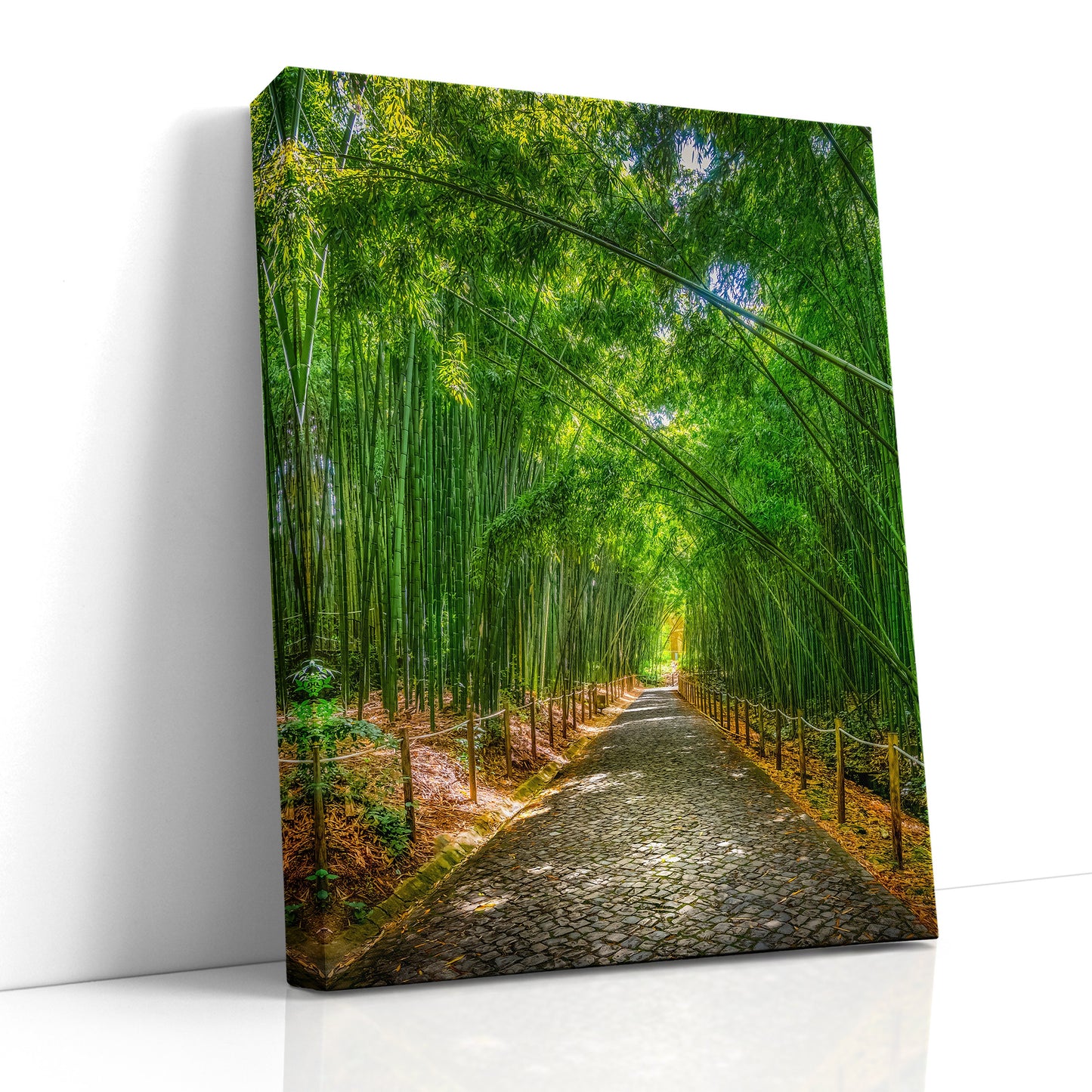 bamboo forest, serene image, yoga decor, meditation art, Coimbra photo, botanical print, peaceful room, nature artwork, Zen photography, tranquil scene, green forest, Portuguese gardens, calming image