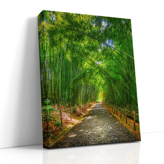 bamboo forest, serene image, yoga decor, meditation art, Coimbra photo, botanical print, peaceful room, nature artwork, Zen photography, tranquil scene, green forest, Portuguese gardens, calming image