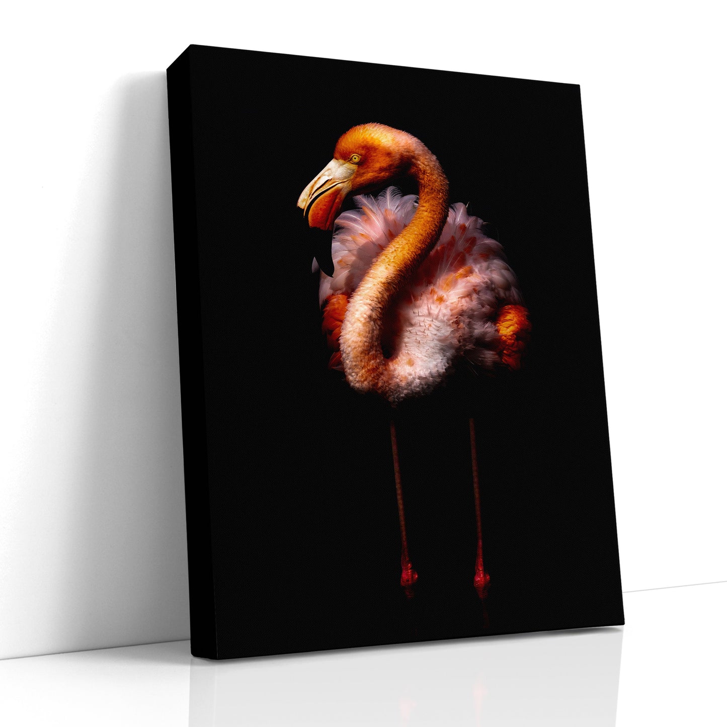 Flamingo Art, Galapagos Photo, Wildlife Print, Fine Art Photo, Nature Photography, Bird Art, Travel Photo, Exotic Birds, Flamingo Print, Flamingo Poster, Color Photography, Bird Photography, Airstream