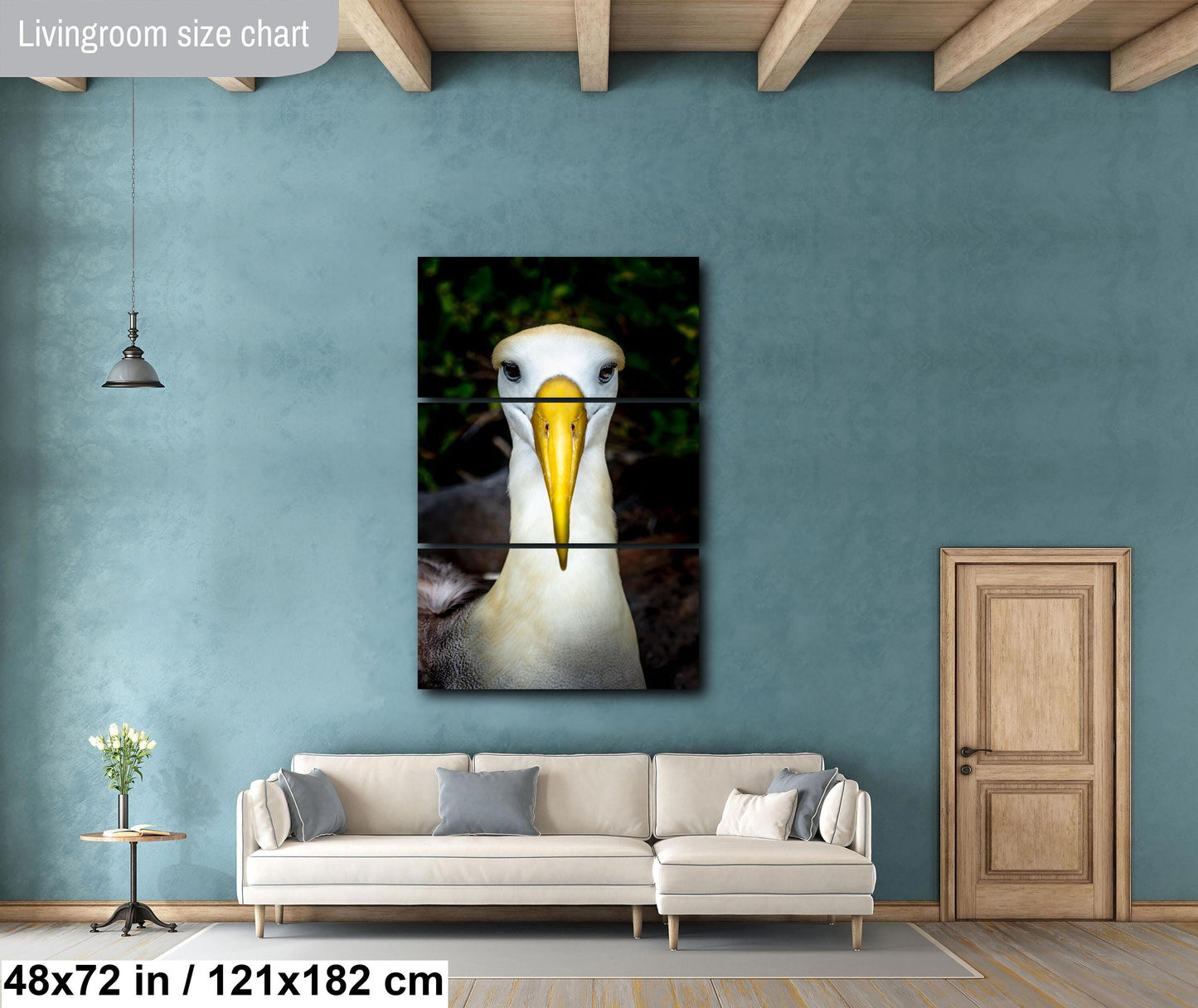 Galapagos Albatross Portrait, Waved Albatross Photo, Close-up Bird Photography, Exotic Bird Art, Island Wildlife Print, Nature Portrait, Tropical Bird Art, Galapagos Photography