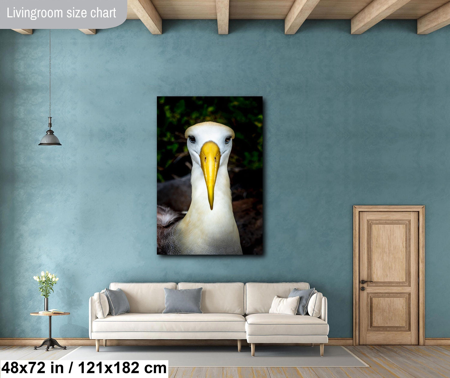 Galapagos Albatross Portrait, Waved Albatross Photo, Close-up Bird Photography, Exotic Bird Art, Island Wildlife Print, Nature Portrait, Tropical Bird Art, Galapagos Photography