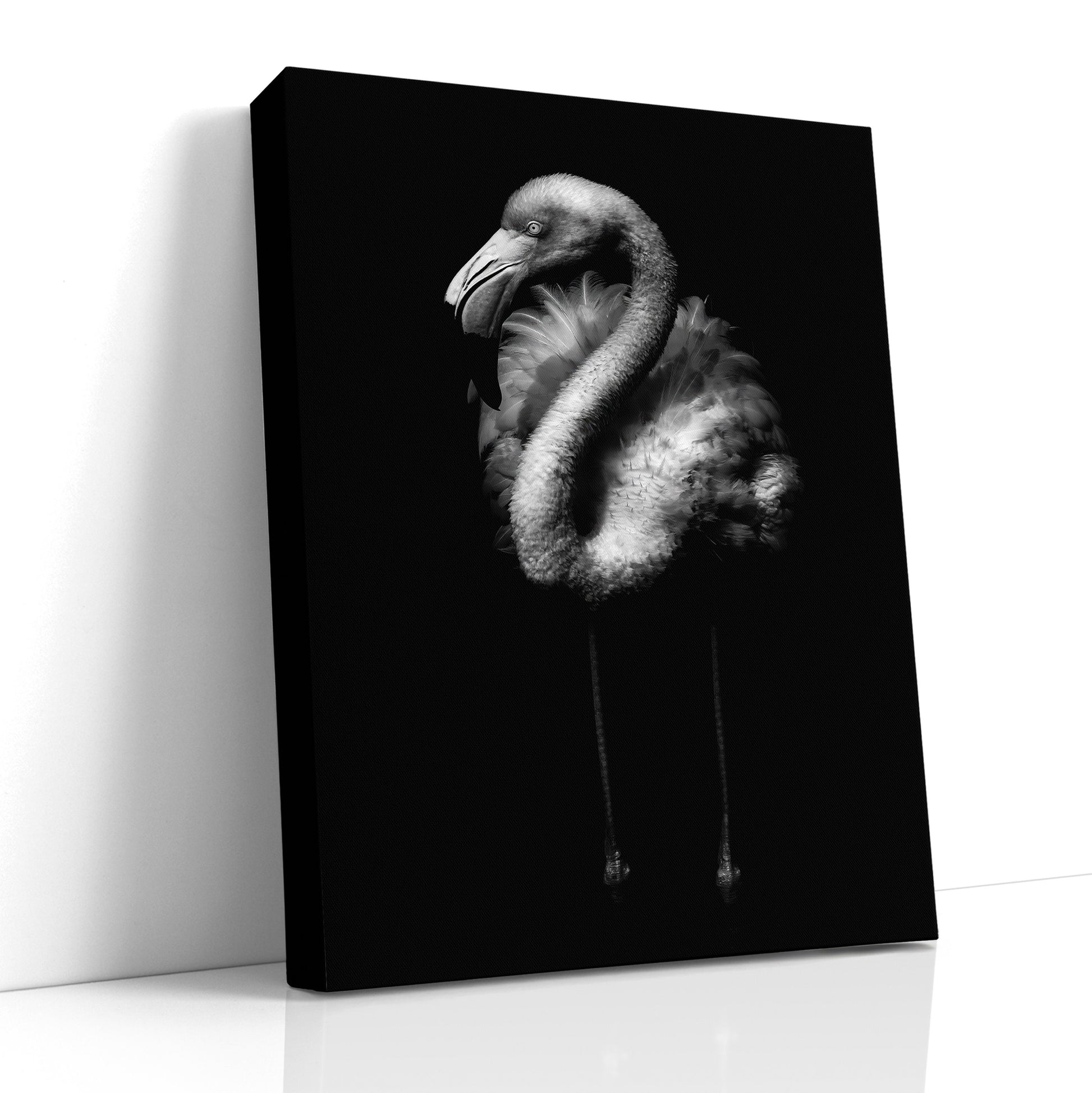 Galapagos flamingo, pink flamingo photo, wildlife photography, nature wall art, exotic bird print, travel inspiration,  black and white photo, color photography, bird lover gift, flamingo decor, unique home decor, island adventure, Airstream