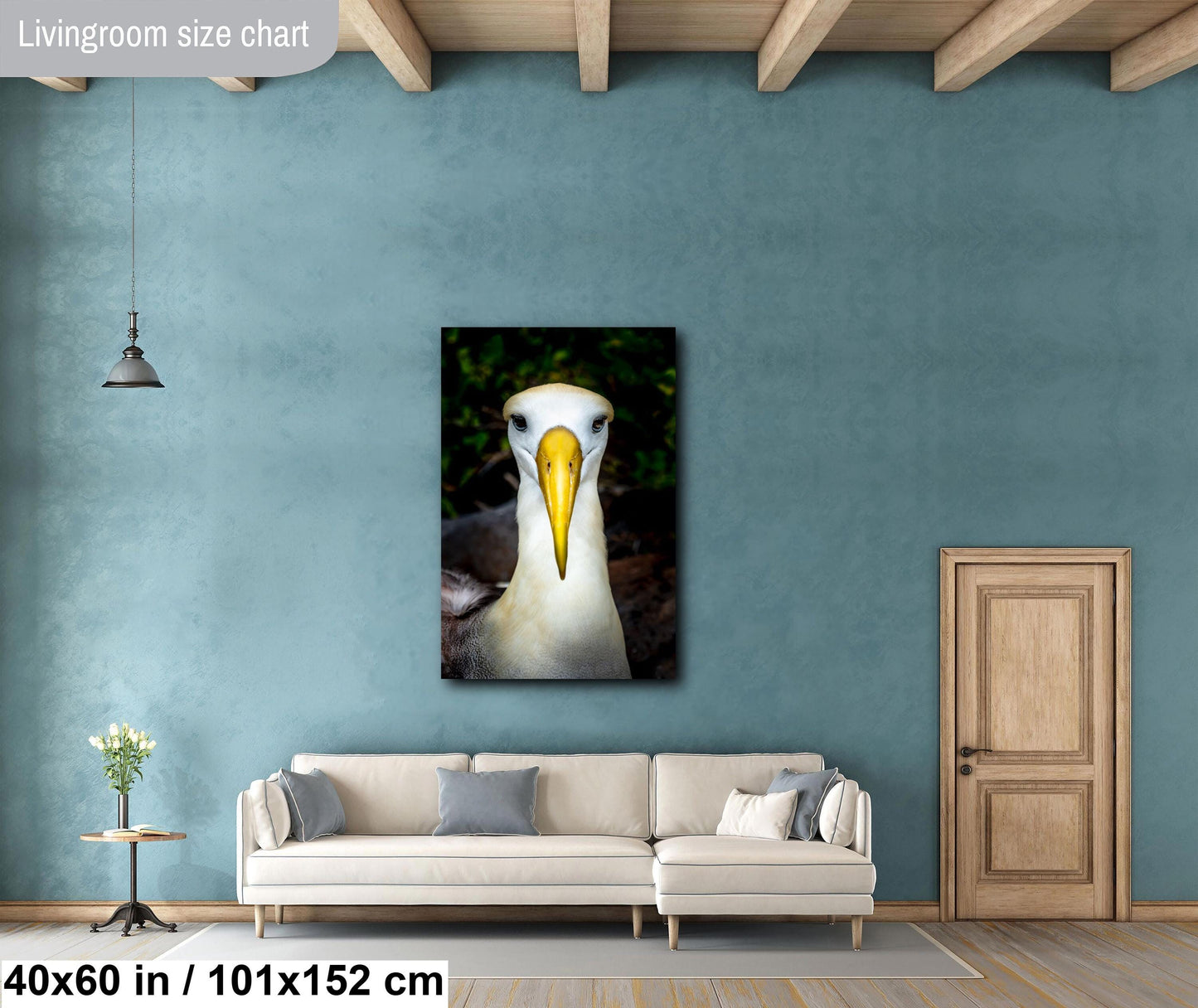 Galapagos Albatross Portrait, Waved Albatross Photo, Close-up Bird Photography, Exotic Bird Art, Island Wildlife Print, Nature Portrait, Tropical Bird Art, Galapagos Photography