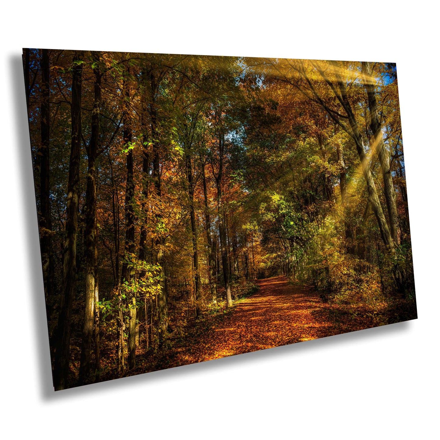 Autumn Colors Canvas Print, Landscape Image, Morning Light, Photo Art, Canvas Wall Art, Sun Beams and Autumn Leaves